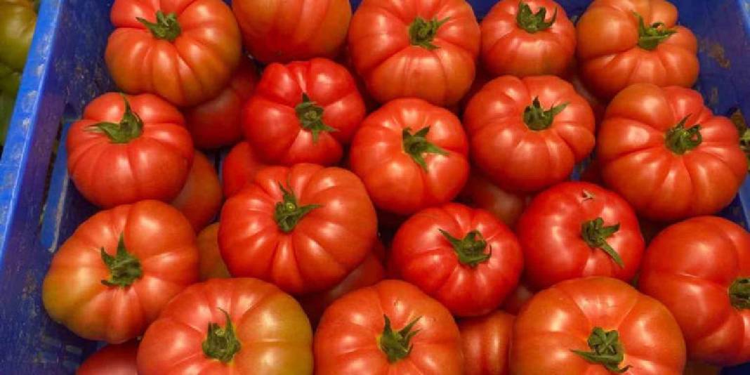 Üretimde aktif kadın eli! 550.000 ton ürün bekleniyor 8